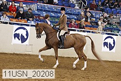 11usn_20208 thumbnail