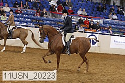 11usn_20223 thumbnail