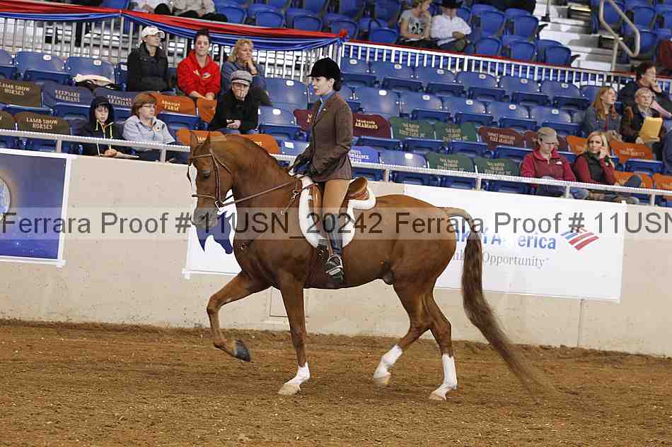 Proof Number 11usn_20242