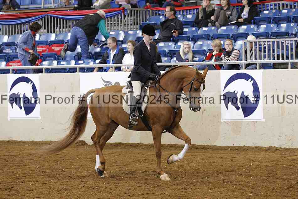 Proof Number 11usn_20245