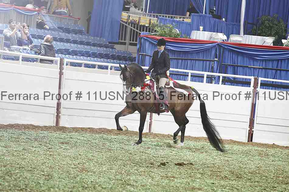 Proof Number 11usn_28815