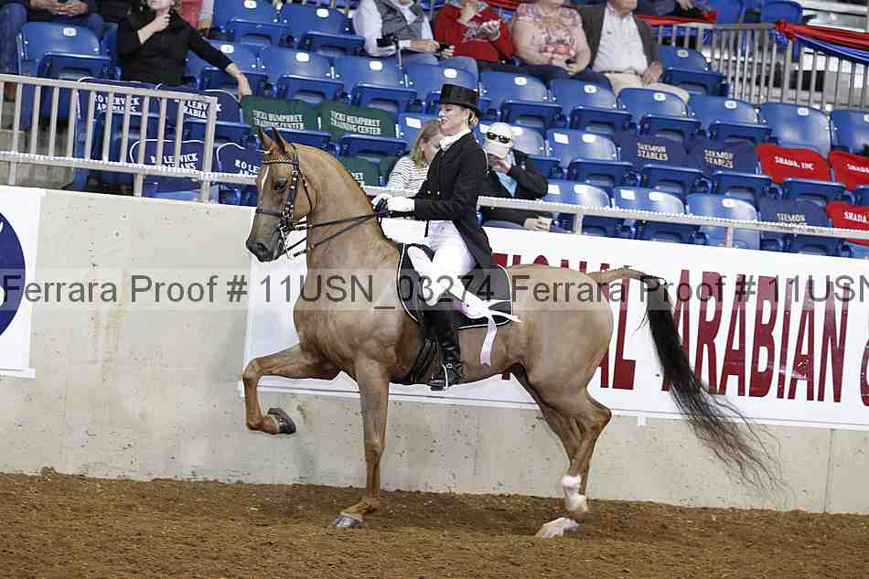 Proof Number 11usn_03274