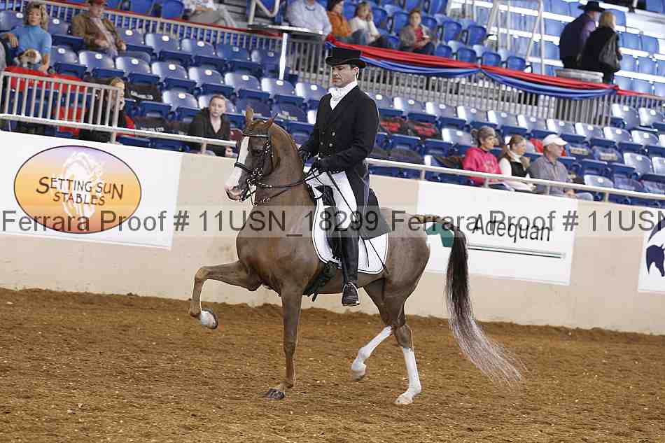 Proof Number 11usn_18299
