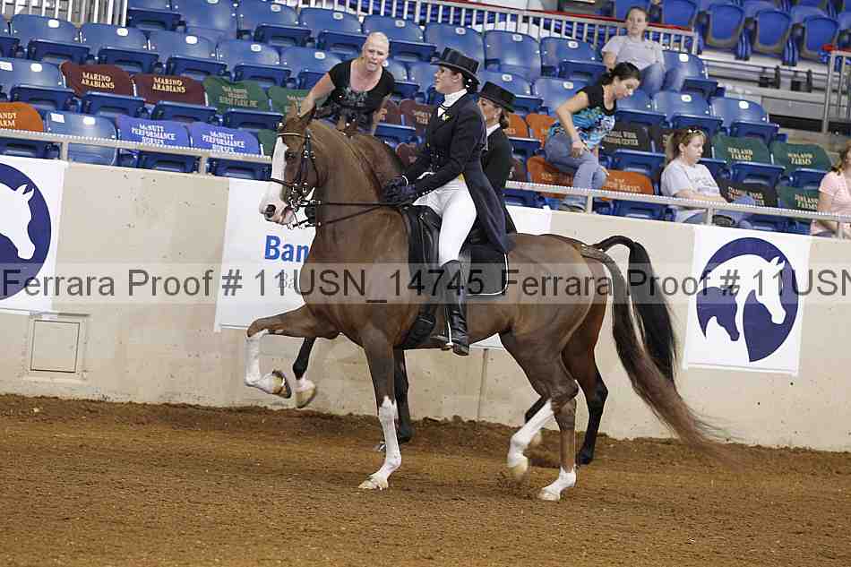 Proof Number 11usn_14745
