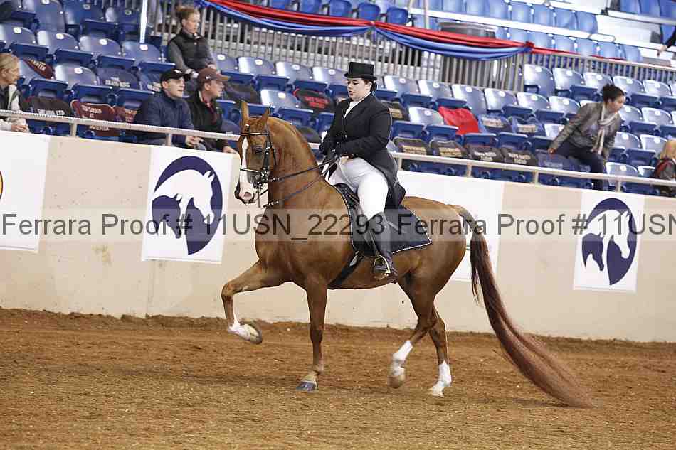 Proof Number 11usn_22293