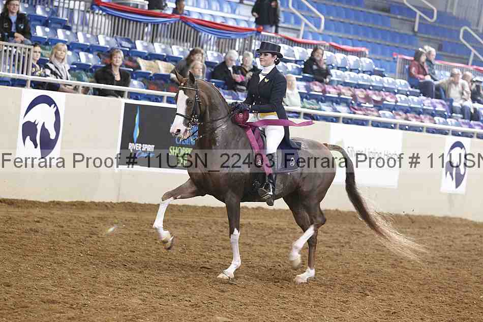 Proof Number 11usn_22403