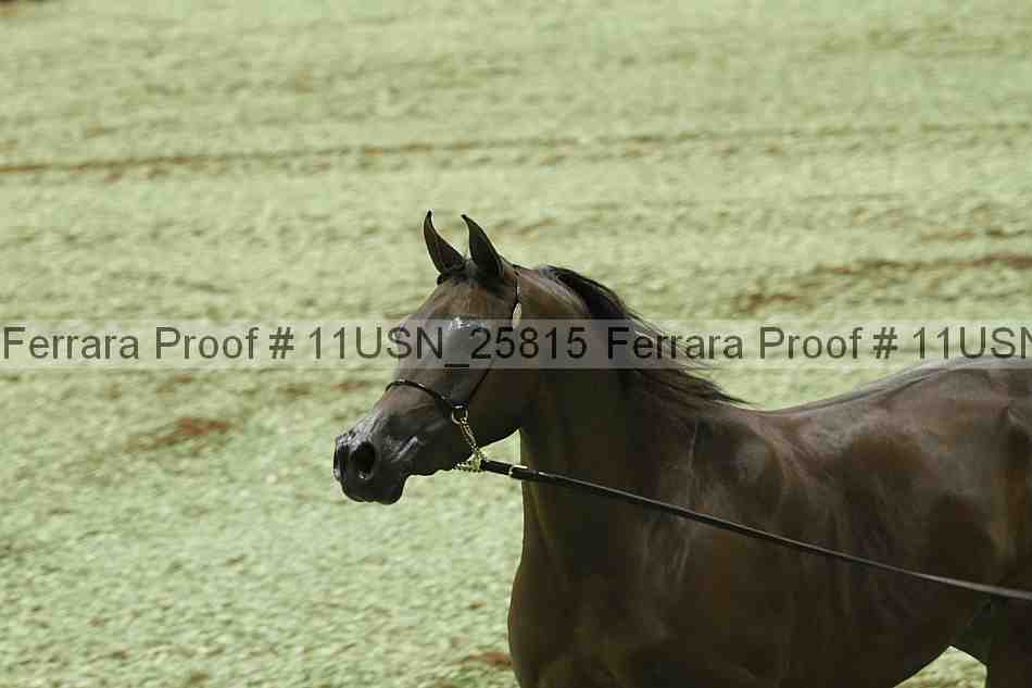 Proof Number 11usn_25815