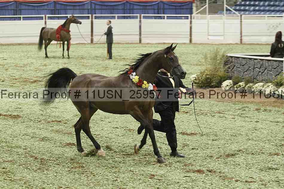 Proof Number 11usn_25957