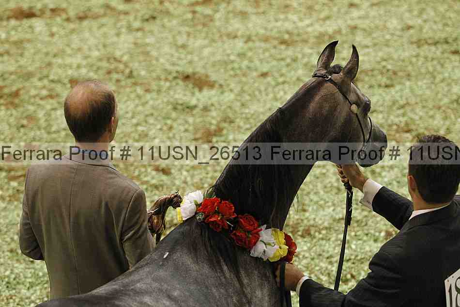 Proof Number 11usn_26513