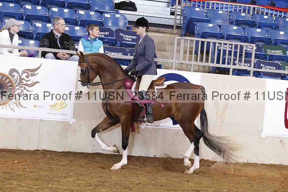 Proof Number 11usn_23584