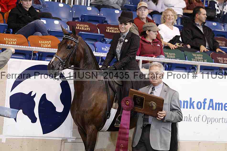 Proof Number 11usn_20435