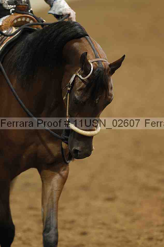 Proof Number 11usn_02607