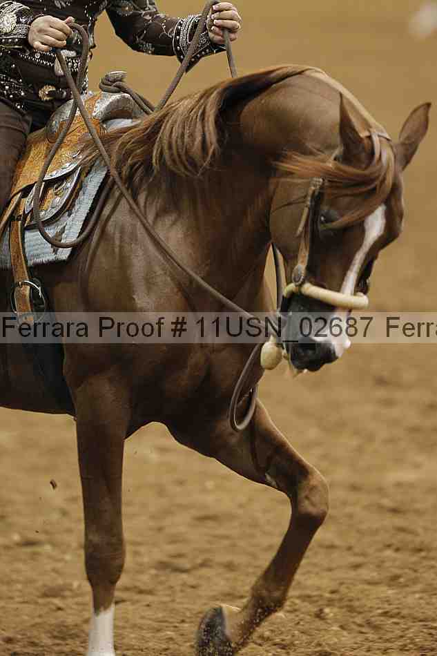 Proof Number 11usn_02687