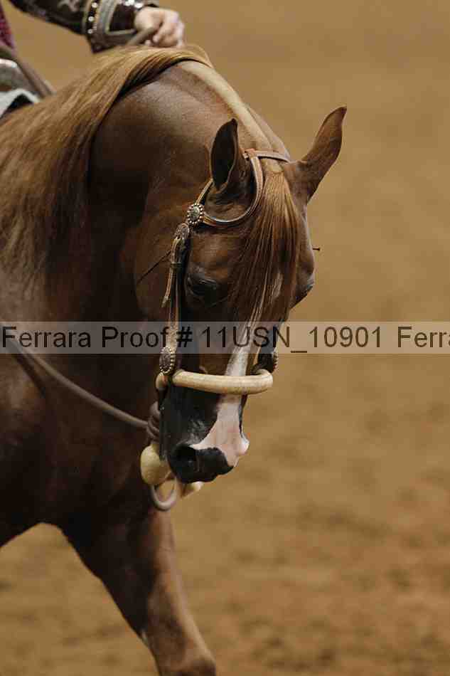 Proof Number 11usn_10901