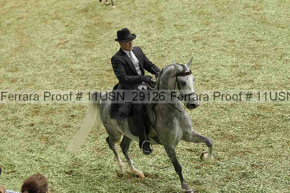 Proof Number 11usn_29126