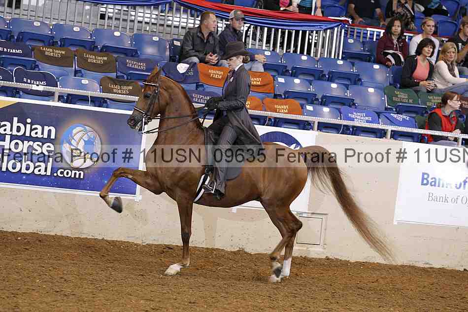 Proof Number 11usn_09635