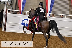 11usn_09801 thumbnail