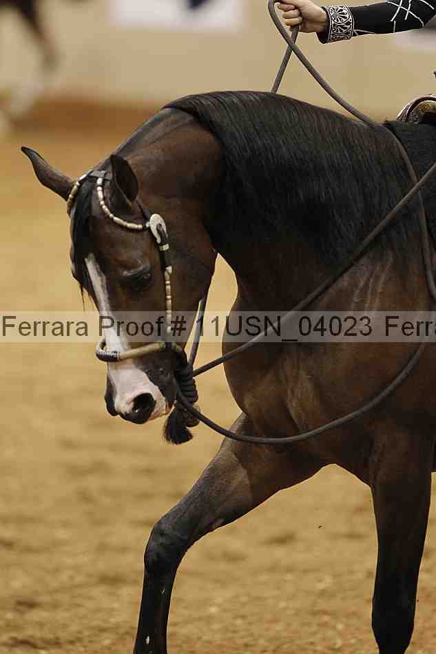 Proof Number 11usn_04023