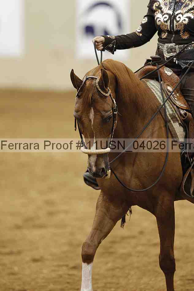 Proof Number 11usn_04026