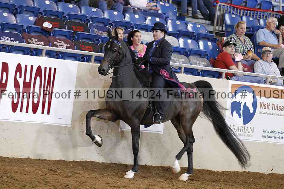 Proof Number 11usn_14024