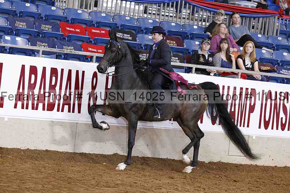 Proof Number 11usn_14025