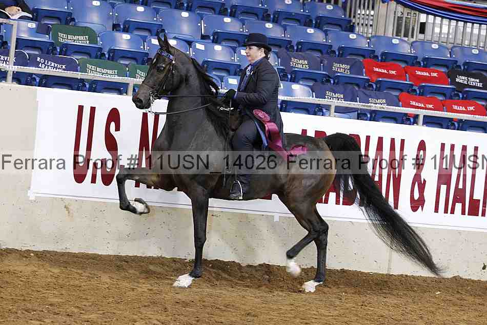 Proof Number 11usn_14026