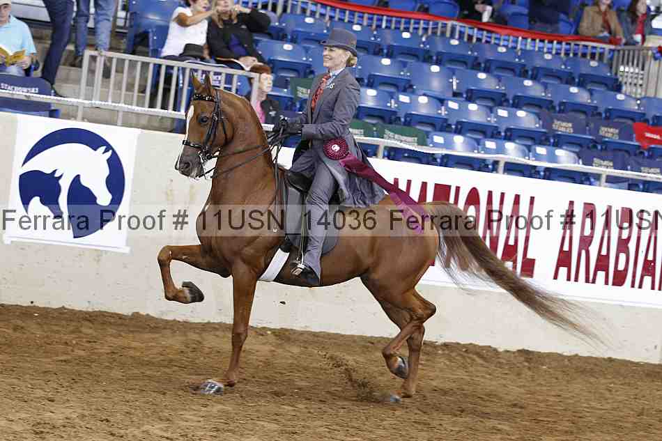 Proof Number 11usn_14036