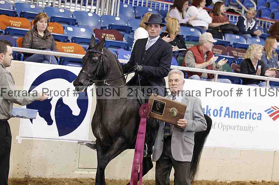 Proof Number 11usn_21193