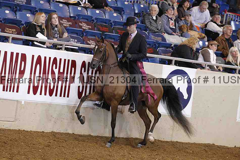 Proof Number 11usn_21304