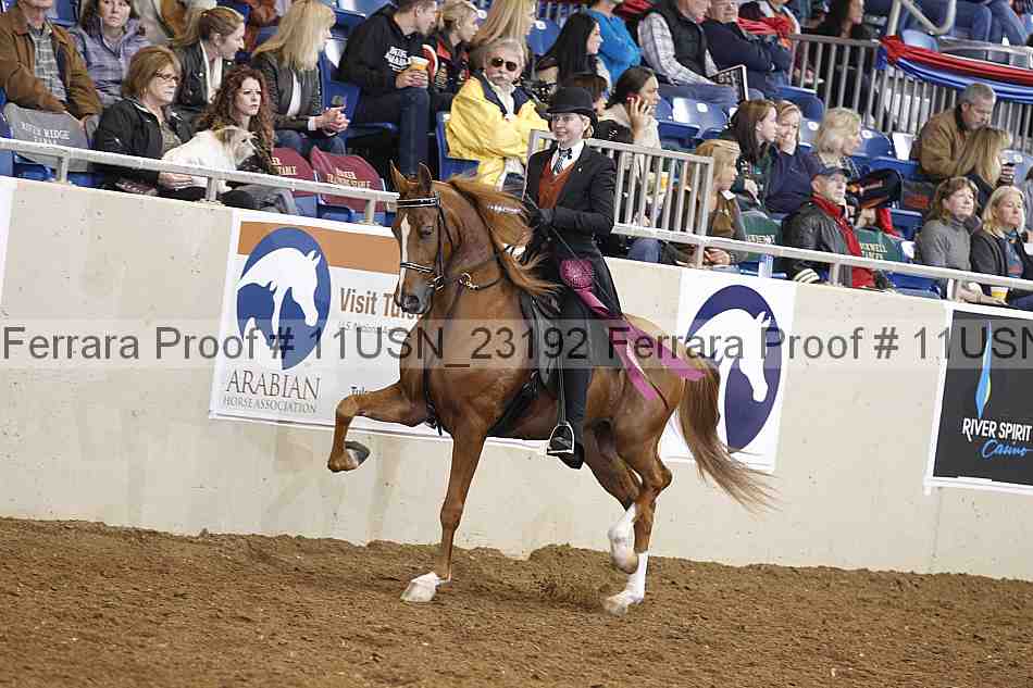 Proof Number 11usn_23192