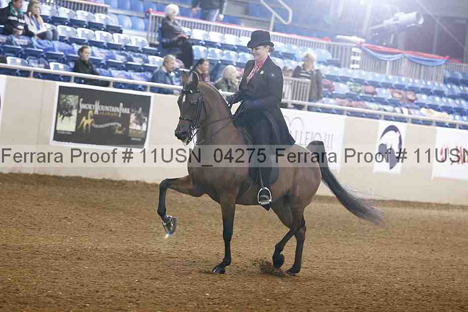 Proof Number 11usn_04275