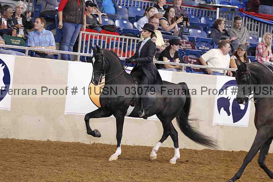 Proof Number 11usn_03079