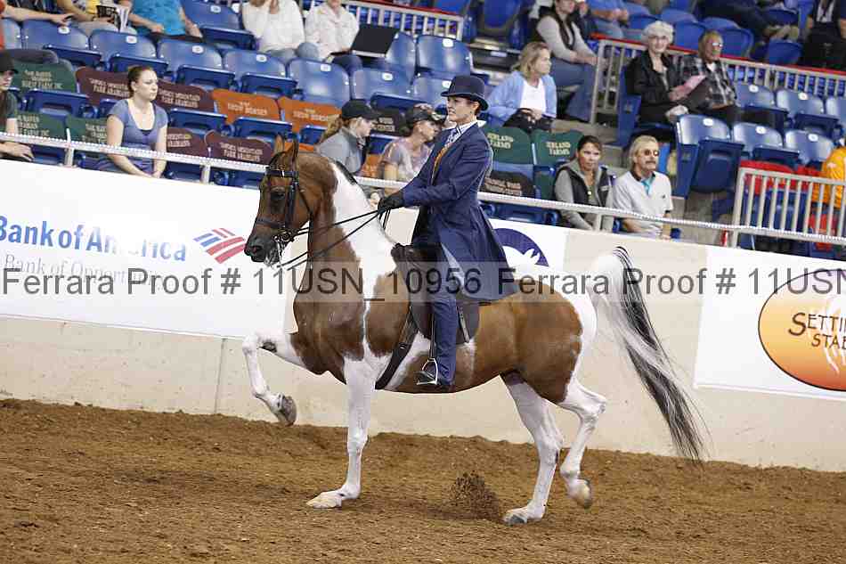 Proof Number 11usn_10956