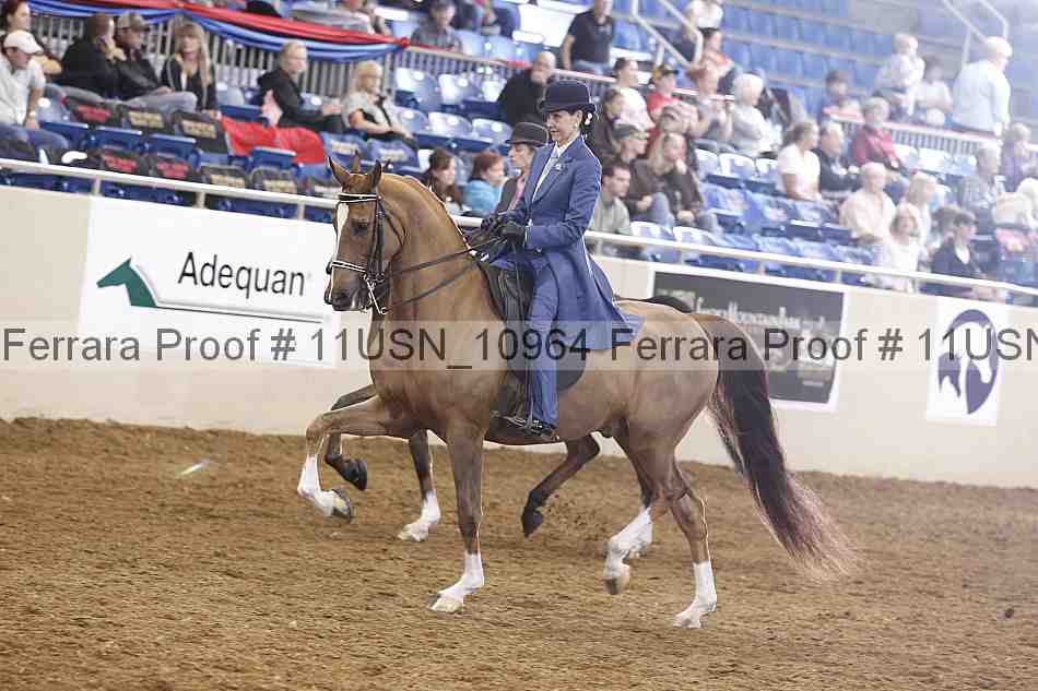 Proof Number 11usn_10964