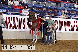 11usn_11056 thumbnail