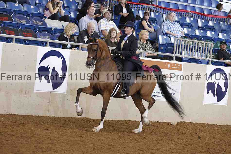 Proof Number 11usn_11095