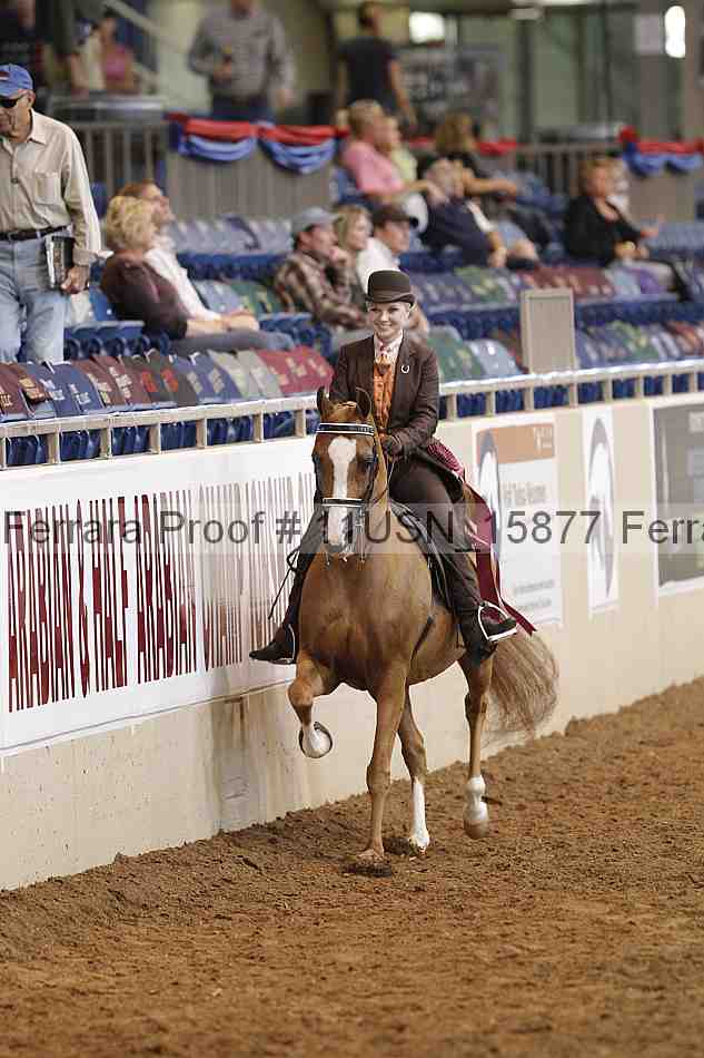 Proof Number 11usn_15877