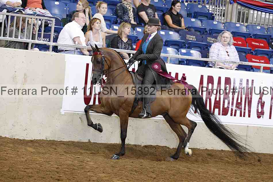 Proof Number 11usn_15892