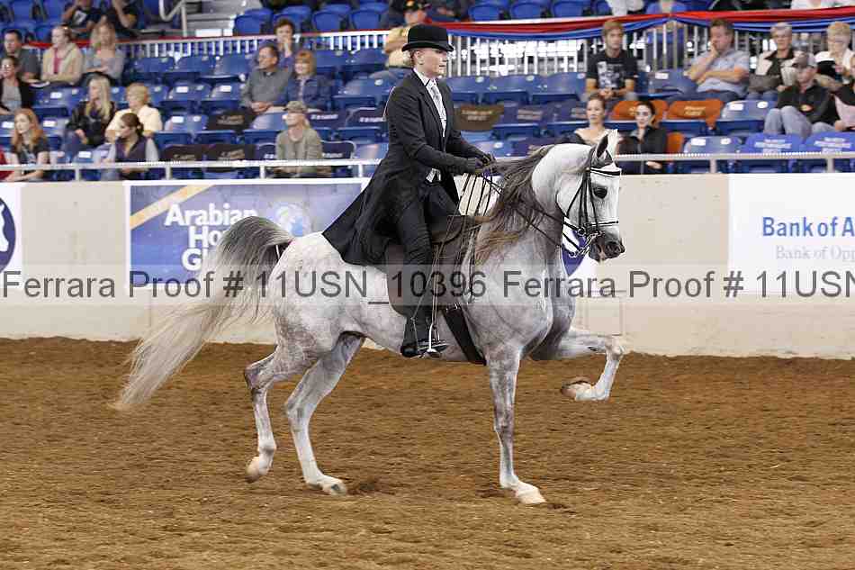 Proof Number 11usn_10396