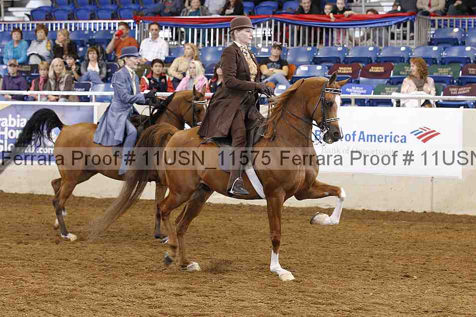 Proof Number 11usn_11575