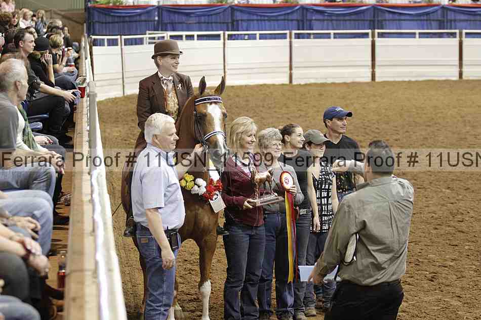 Proof Number 11usn_11599