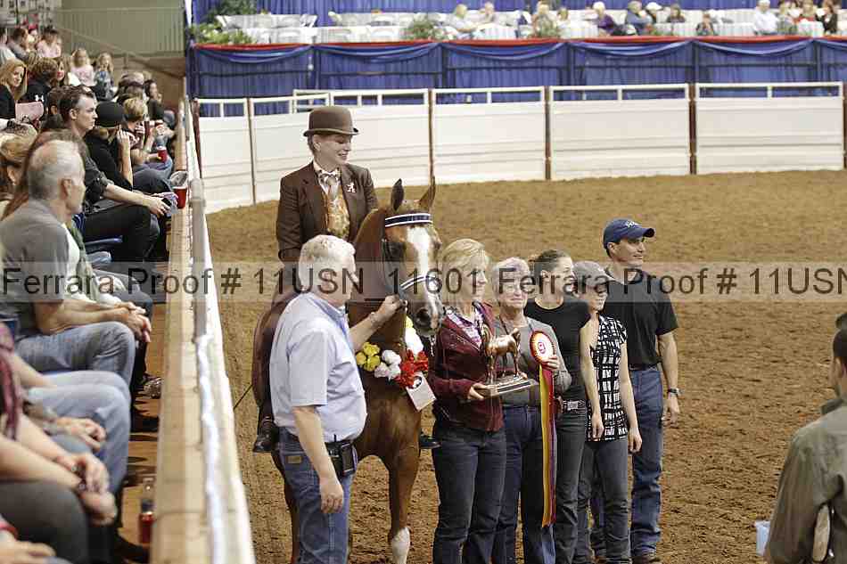 Proof Number 11usn_11601