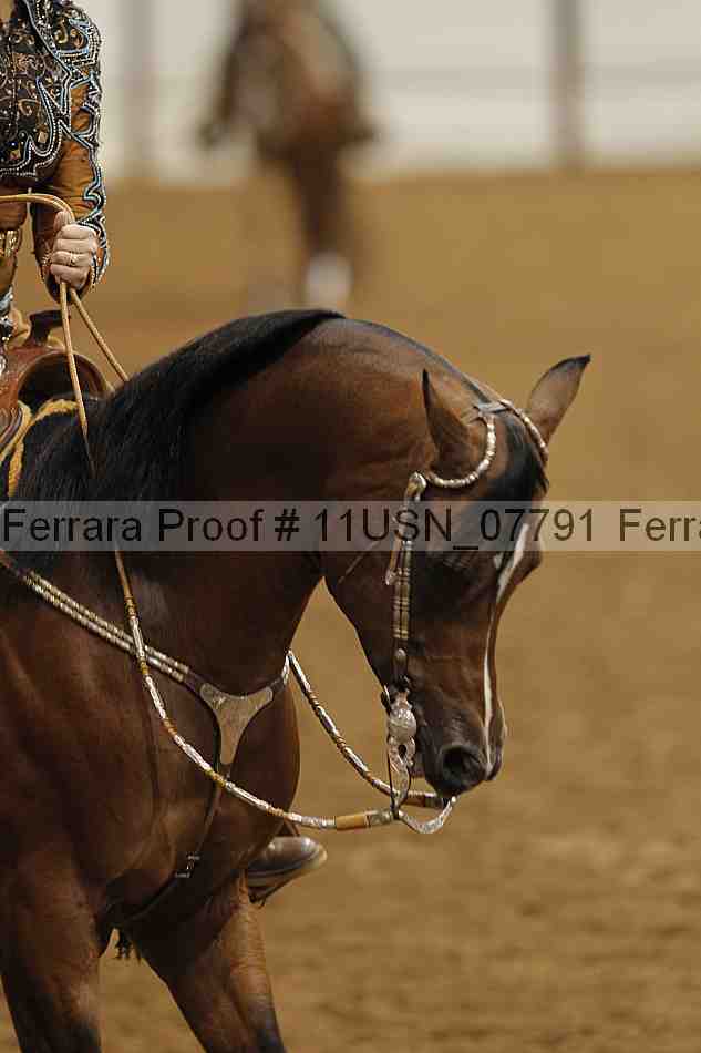 Proof Number 11usn_07791