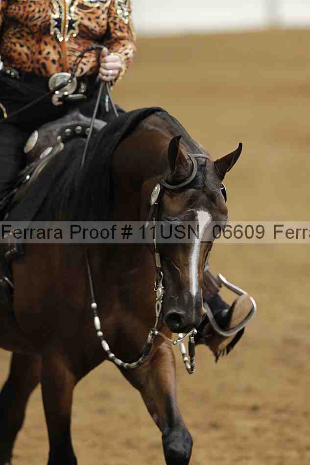 Proof Number 11usn_06609