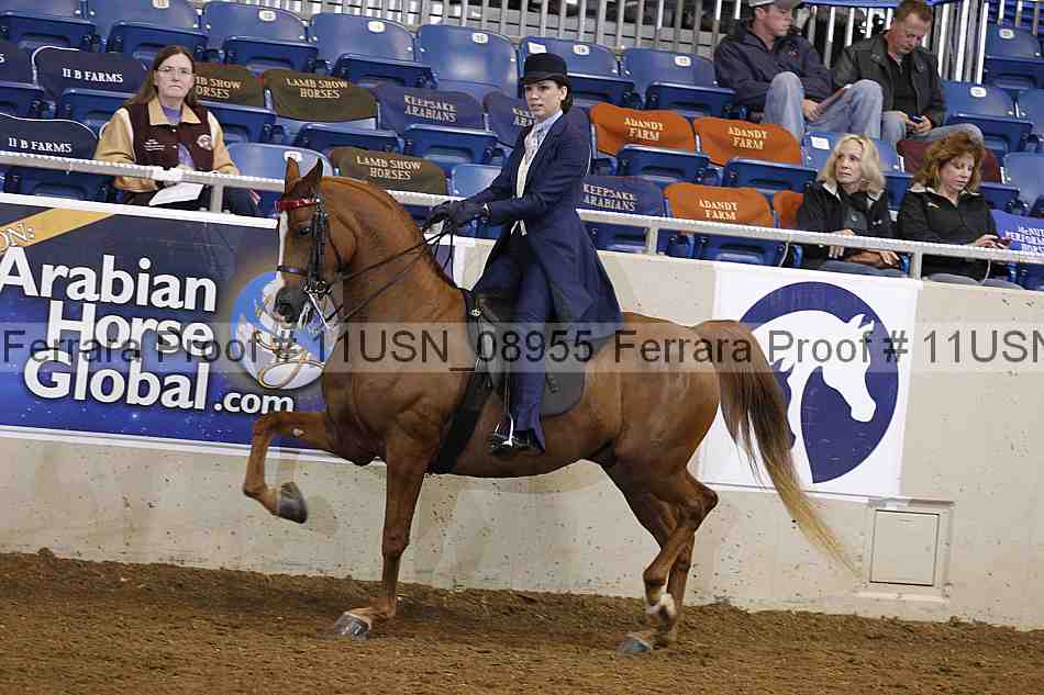 Proof Number 11usn_08955