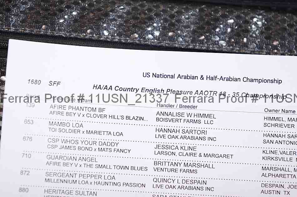 Proof Number 11usn_21337