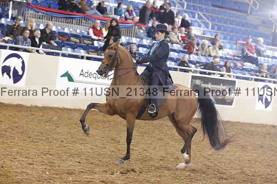 Proof Number 11usn_21348