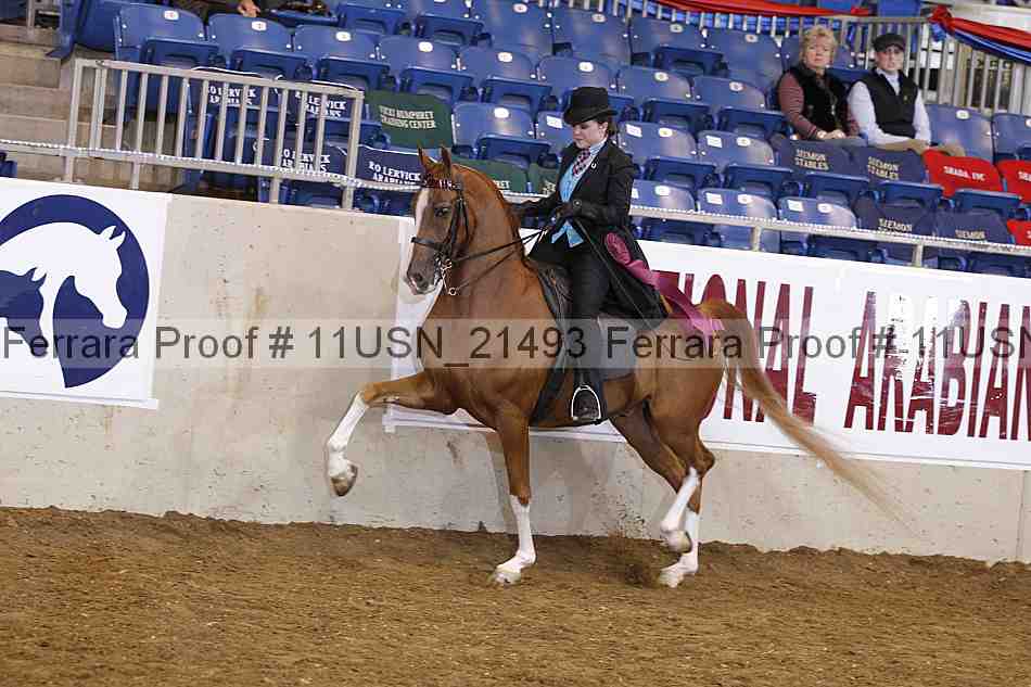 Proof Number 11usn_21493