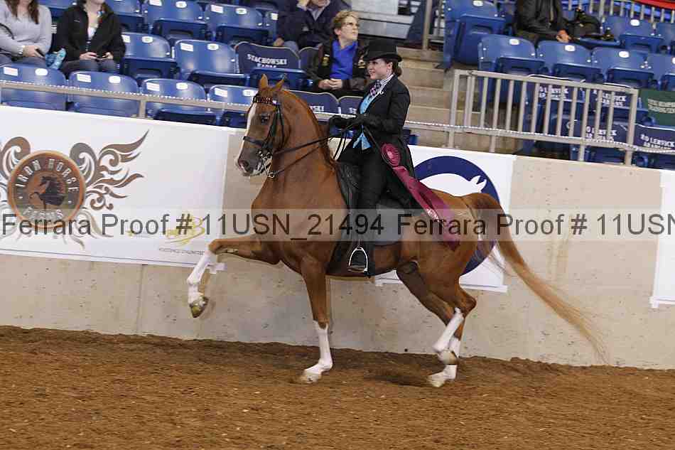 Proof Number 11usn_21494