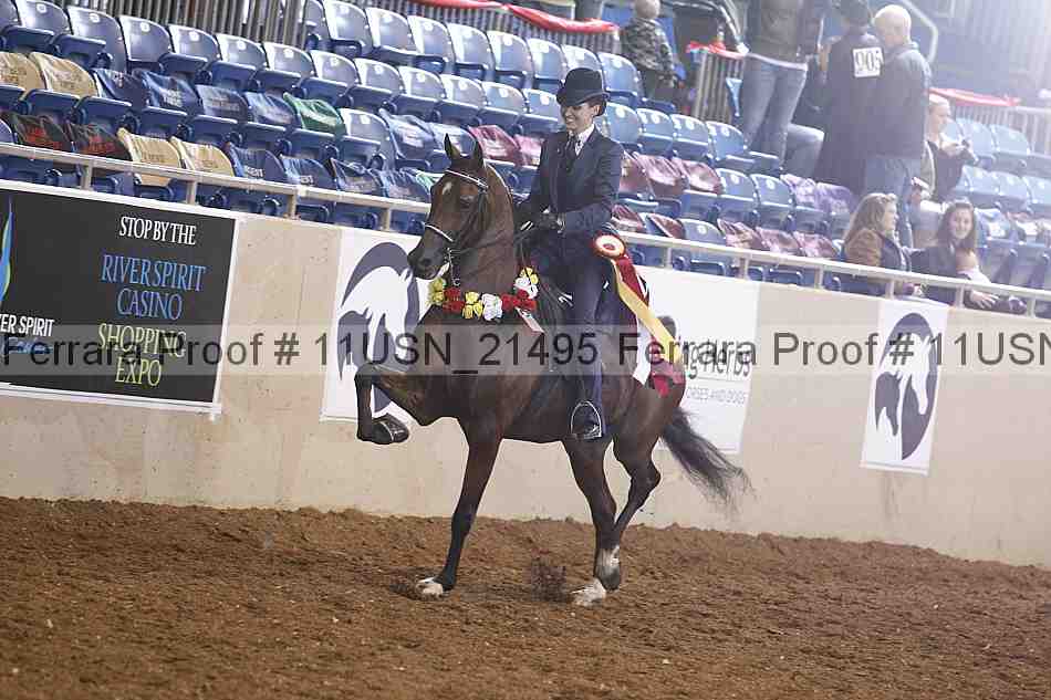 Proof Number 11usn_21495